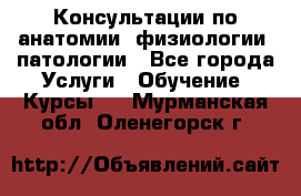 Консультации по анатомии, физиологии, патологии - Все города Услуги » Обучение. Курсы   . Мурманская обл.,Оленегорск г.